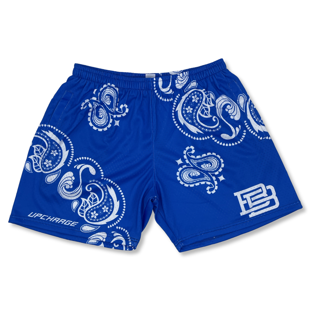 Blue Hawaii Paisley Mesh Shorts