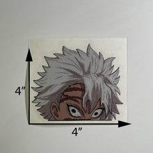 Load image into Gallery viewer, SNM Reflective Peeker
